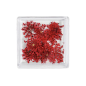 MC BEAUTY Dried Flowers Red 10 pcs