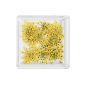 MC BEAUTY Dried Flowers Yellow 10 pcs