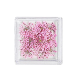 MC BEAUTY Dried Flowers Light Pink 10 pcs