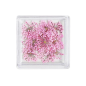 MC BEAUTY Dried Flowers Light Pink 10 pcs