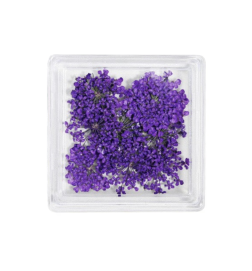 MC BEAUTY Dried Flowers Purple 10 pcs