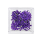 MC BEAUTY Dried Flowers Purple 10 pcs