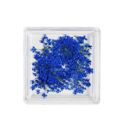 MC BEAUTY Dried Flowers Blue 10 pcs