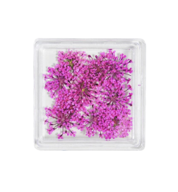 MC BEAUTY Dried Flowers Pink 10 pcs