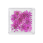 MC BEAUTY Dried Flowers Pink 10 pcs