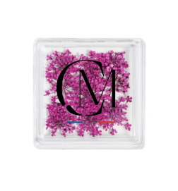 MC BEAUTY Dried Flowers Fushia 10 pcs