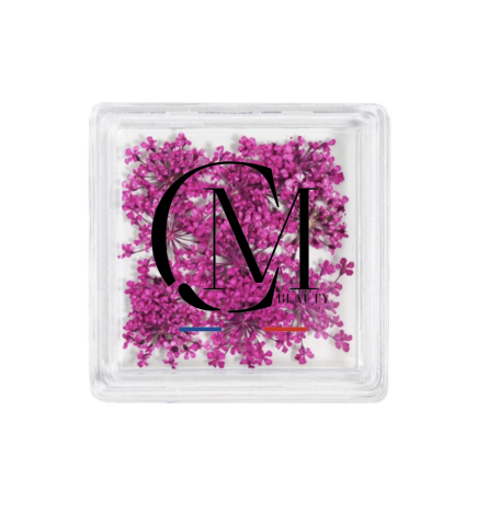 MC BEAUTY Dried Flowers Fushia 10 pcs