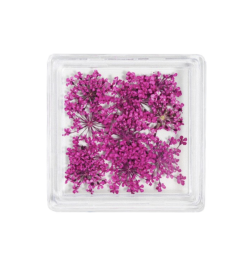 MC BEAUTY Dried Flowers Fushia 10 pcs