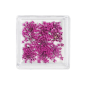 MC BEAUTY Dried Flowers Fushia 10 pcs